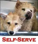 bo and to in tub
